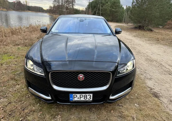 jaguar wielkopolskie Jaguar XF cena 86900 przebieg: 112243, rok produkcji 2018 z Piła